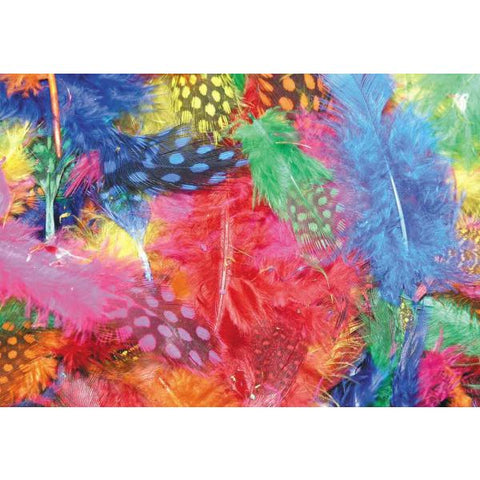 Feathers - Small Spot & Plume