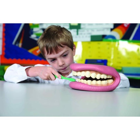 Giant Teeth Demonstration Set