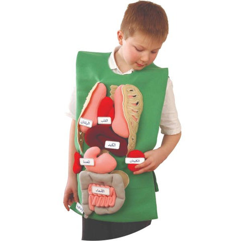 Organ Tunic & Healthy Organ Set