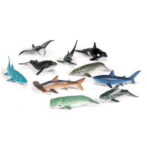 Ocean Counters