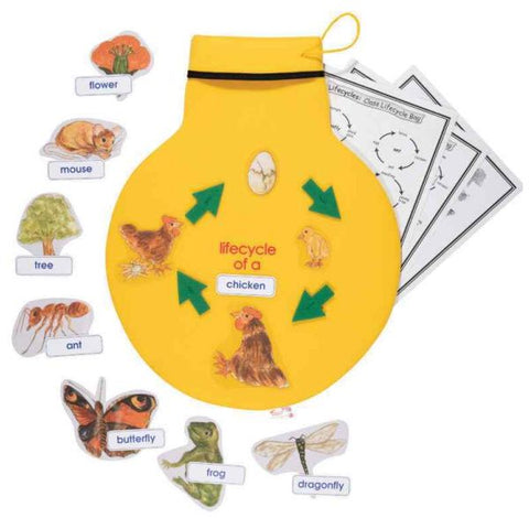 Class Lifecycle Bag Science