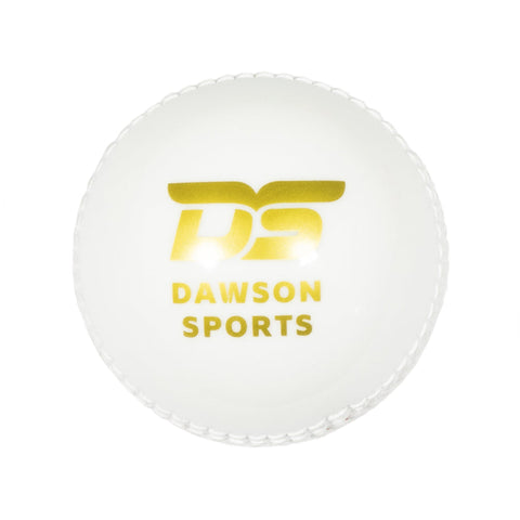 Incrediball PVC Cricket Ball