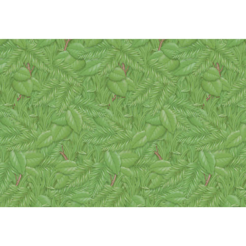 Pacon Fadeless Display Paper Roll 1218Mmx3.6M Tropical