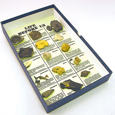 Fossil Set