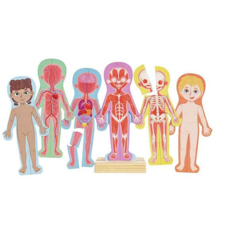 Human Body Magnetic Puzzle