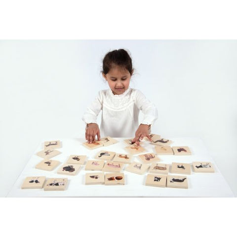 DOMESTIC ANIMAL FAMILY MATCH