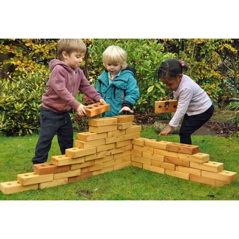 Lewiss Lightweight Softwood Bricks (30Pk)