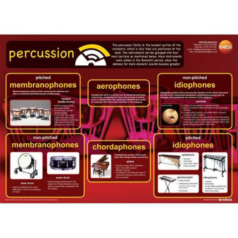 Percussion instruments - A1 educational poster-(EHH-GNS-23)