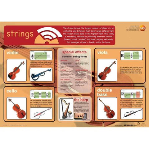 Stringed instruments - A1 educational poster-(EHH-GNS-24)