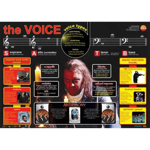 The human voice - A1 educational poster-(EHH-GNS-26)