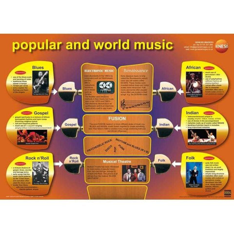 Popular and world music - A1 educational poster-(EHH-GNS-32)