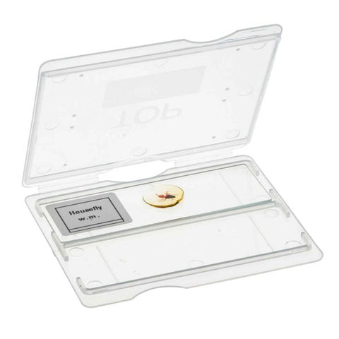 Slide Mailer - 2 Slides-EIS-BI0114H