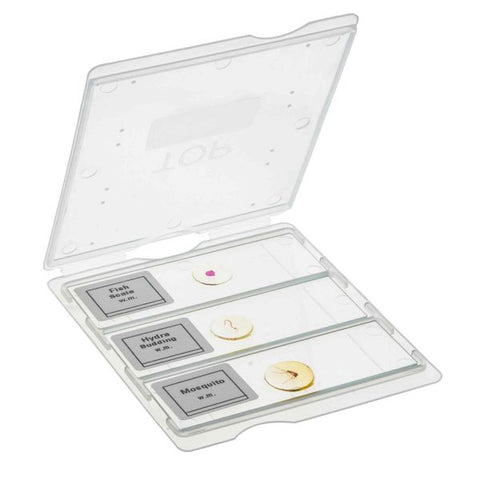 Slide Mailer - 3 Slides-EIS-BI0114I