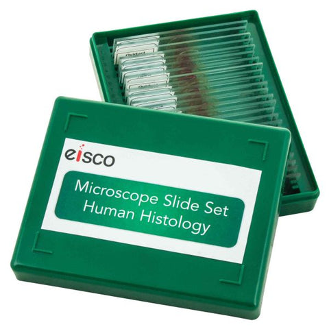 Microscope Slide Set - Human Histology, Set of 25-EIS-BI0292
