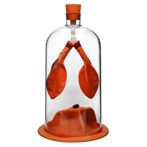 Lung Demostration-EIS-LNGDEMO