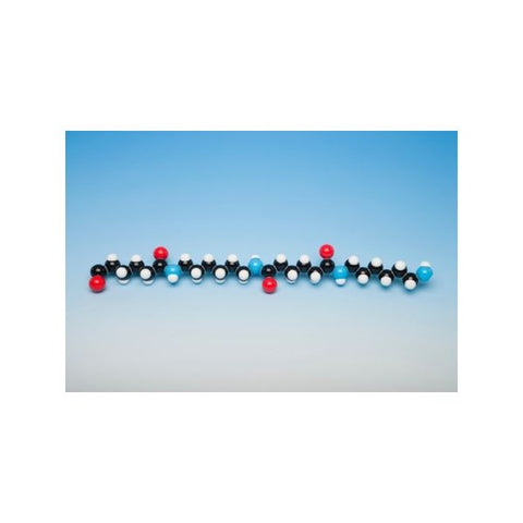 Molecular Model Nylon 6.6-(ELS-MMS032)